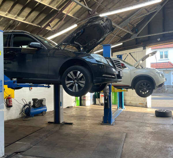 Cars on lifts in auto repair shop.